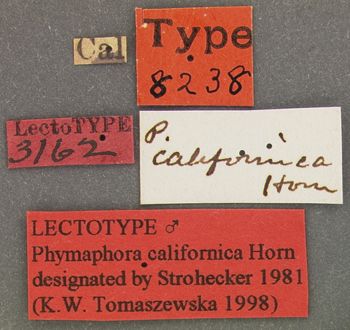Media type: image;   Entomology 8238 Aspect: labels